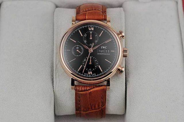 IWC watch man-291